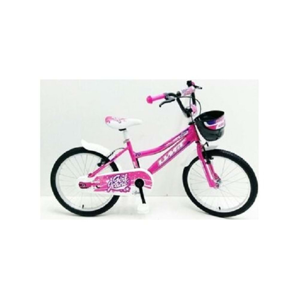 ÜMİT 20 ALPINA-L-BMX-V - PEMBE - 1