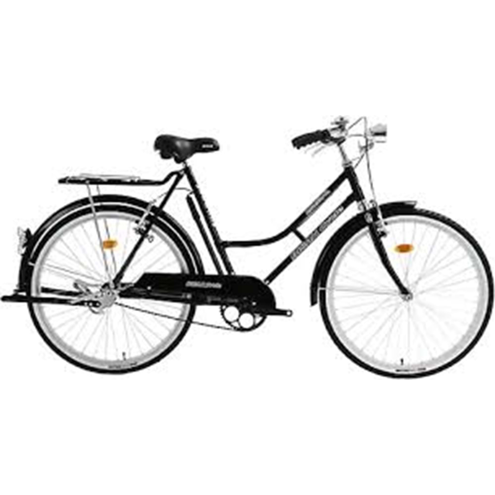 BİSAN ROADSTAR CLASSIC LAYD-23 57 CM 26 JANT - PARLAK SİYAH SİYAH GOLD - 1