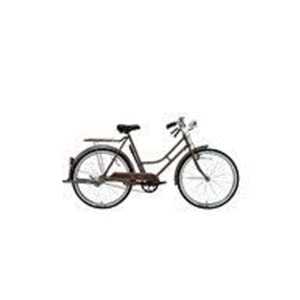 BİSAN ROADSTAR CLASSIC LAYD-23 57 CM 26 JANT - KAHVERENGİ SİYAH GOLD - 1